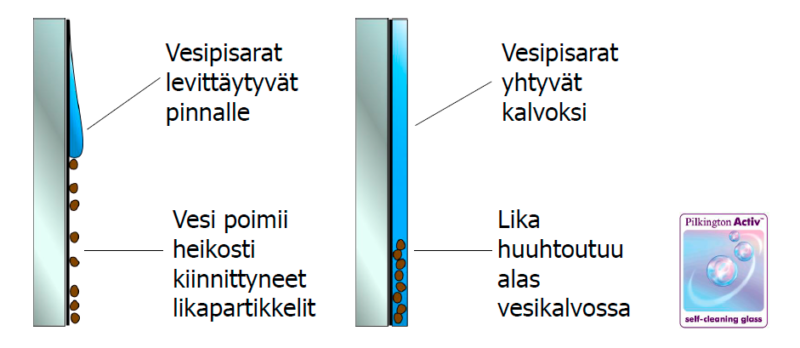 Ikkunoiden lasivaihtoehdot_ikkunan itsepuhdistuva lasi_Lammi Ikkuna Oy_2